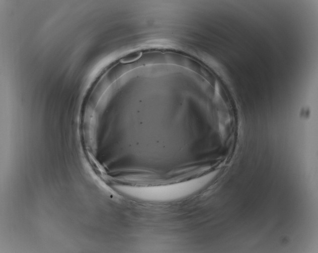 X0000112421334200909041403