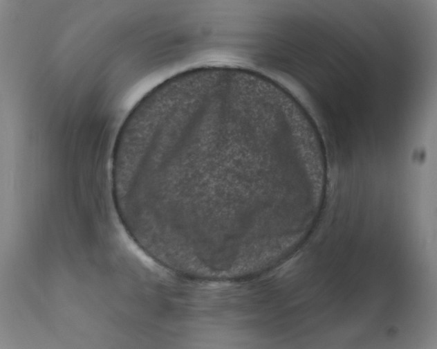 X0000112421335200909041403