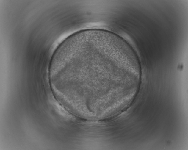 X0000112421336200909041403