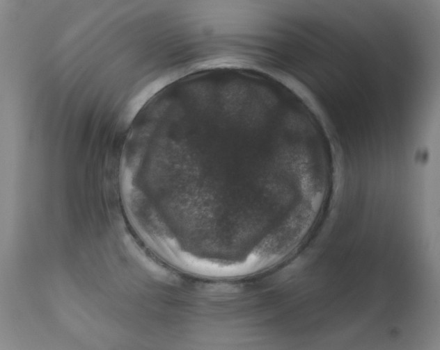 X0000112421337200909041403