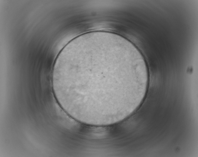 X0000112421338200909041403