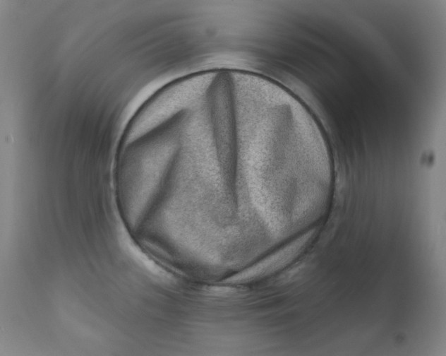 X0000112421339200909041403