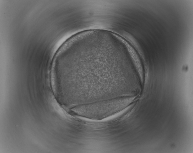 X0000112421340200909041403