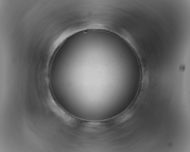 X0000112421342200909041403