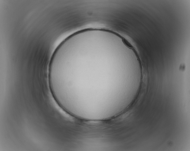 X0000112421343200909041403