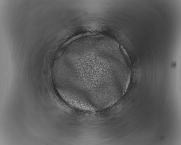 X0000112421345200909041403