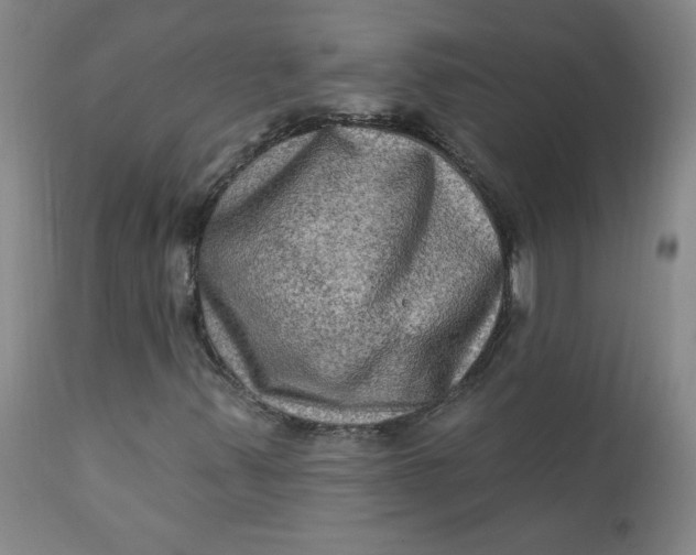 X0000112421347200909041403