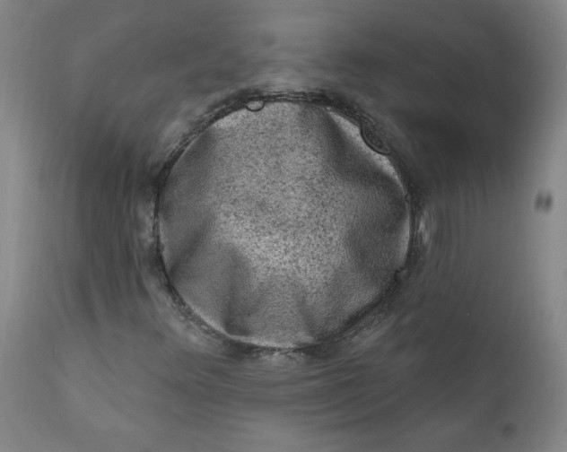 X0000112421348200909041403