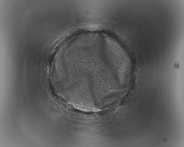 X0000112421349200909041403