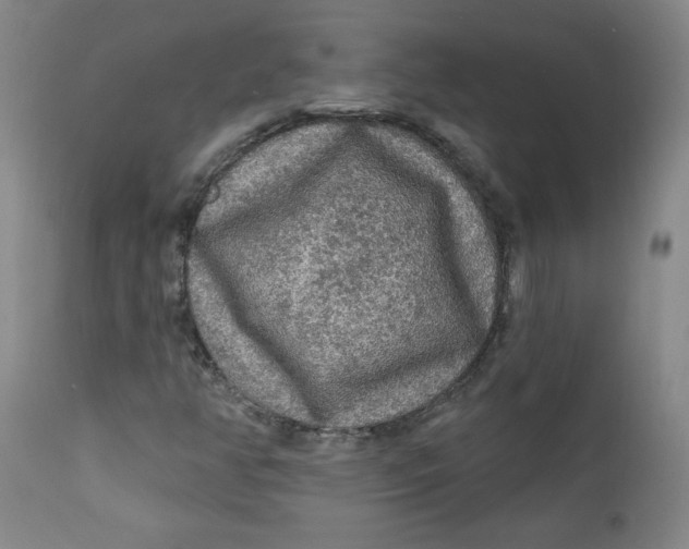 X0000112421350200909041403