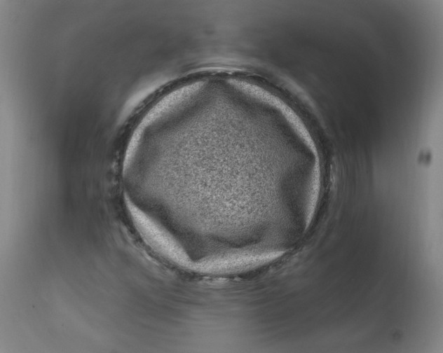 X0000112421352200909041403