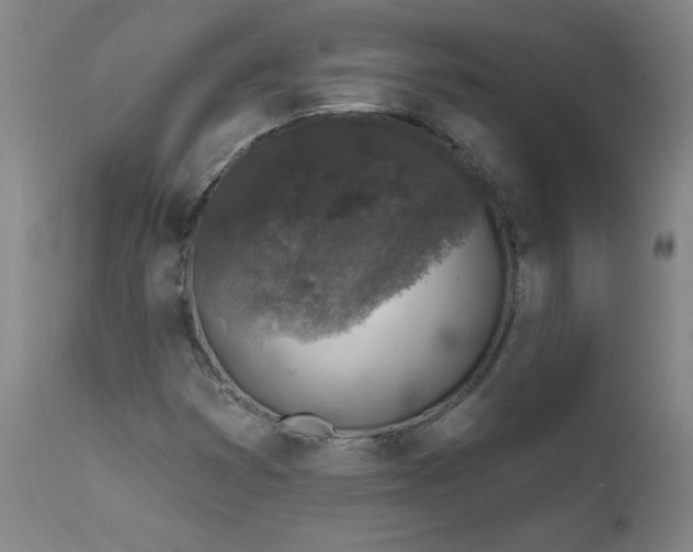 X0000112421353200909041403