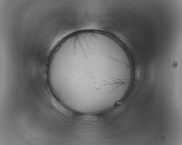 X0000112421356200909041403