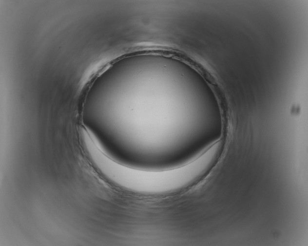 X0000112421357200909041403