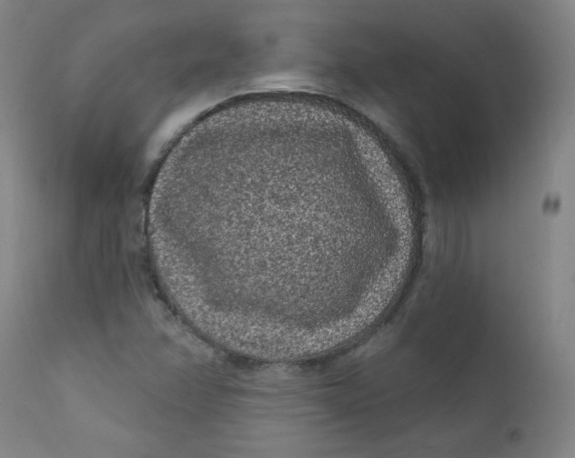 X0000112421358200909041403