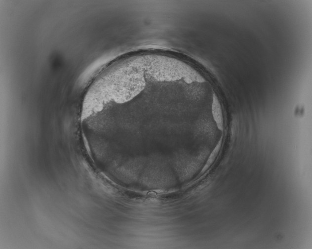 X0000112421359200909041402