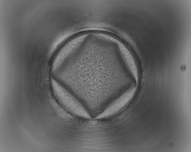 X0000112421360200909041402