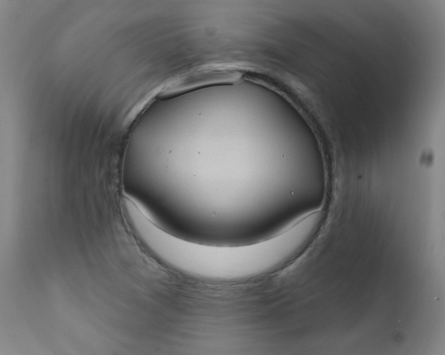 X0000112421361200909041402