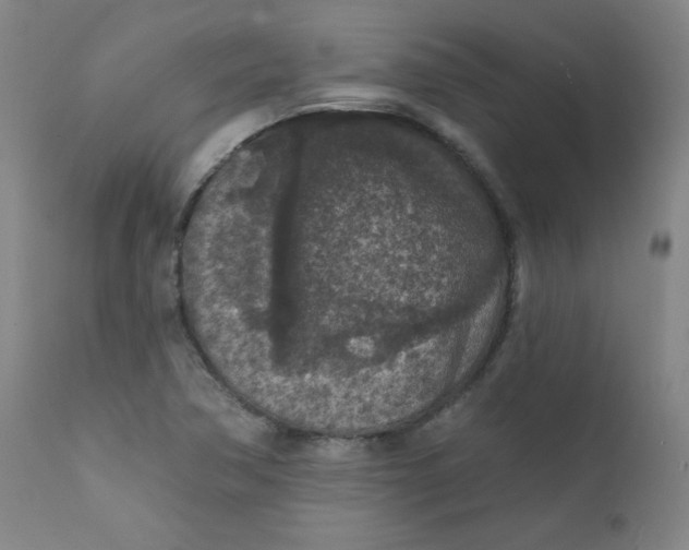 X0000112421362200909041402