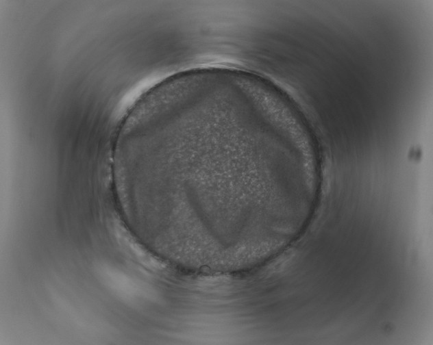 X0000112421363200909041402