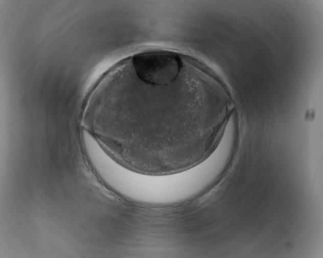 X0000112421365200909041402