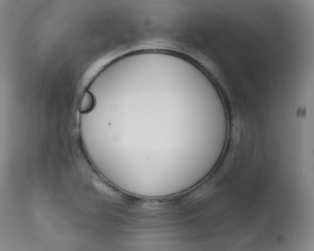 X0000112421366200909041402