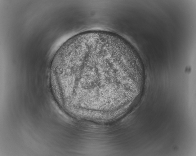 X0000112421367200909041402