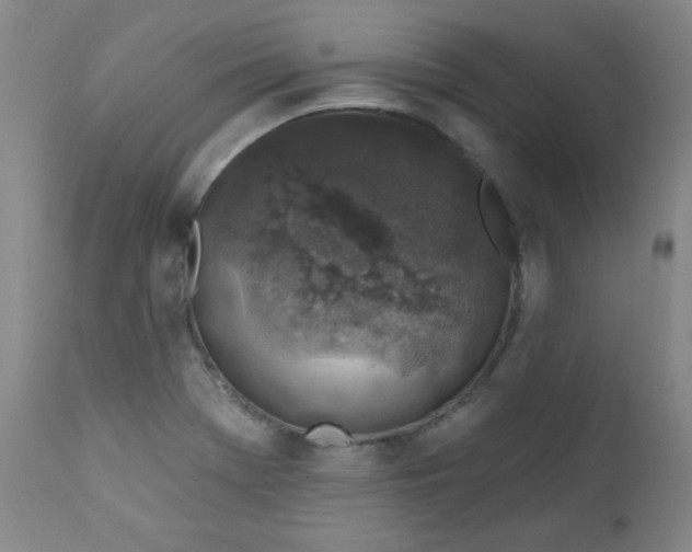 X0000112421369200909041402