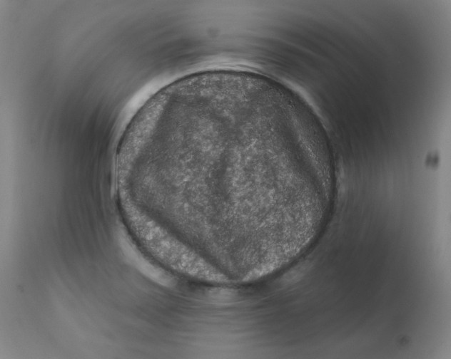 X0000112421371200909041402