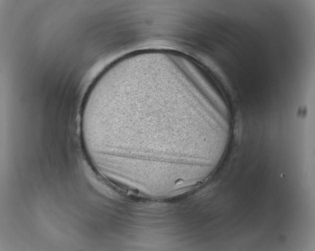 X0000112421372200909041402