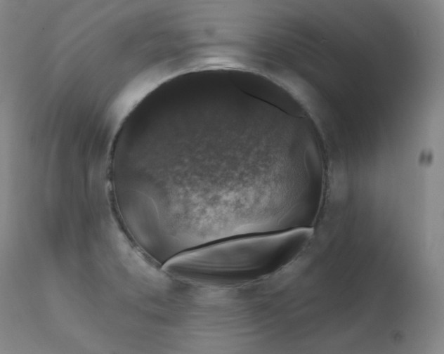 X0000112421373200909041402