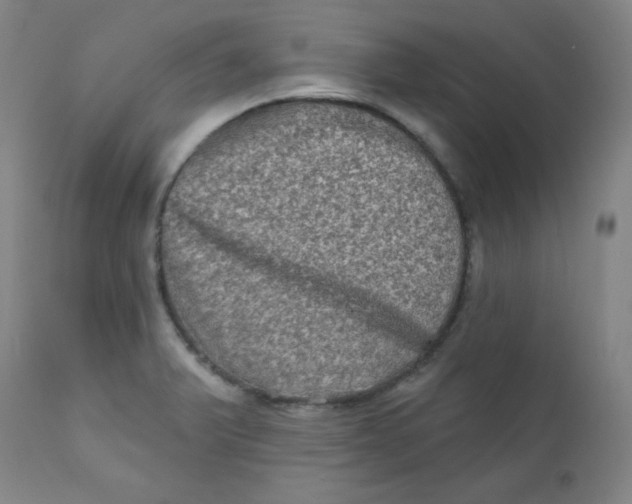 X0000112421375200909041402