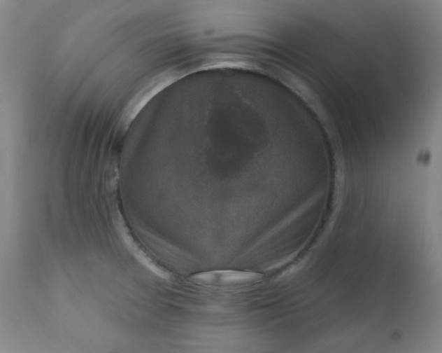 X0000112421377200909041402