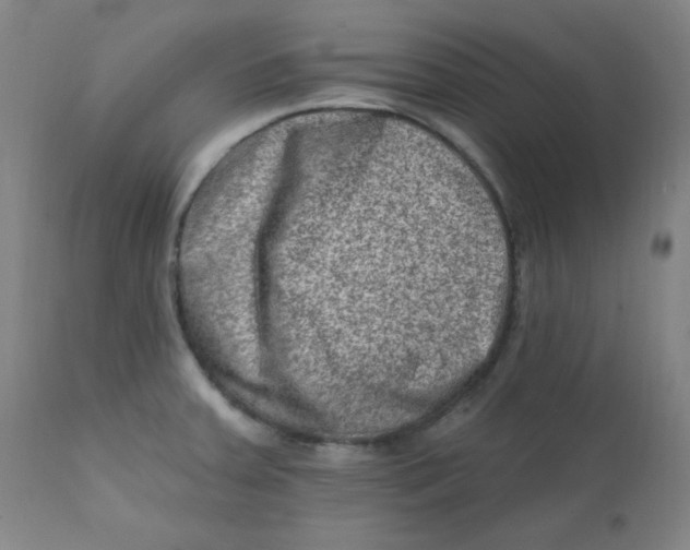 X0000112421379200909041402