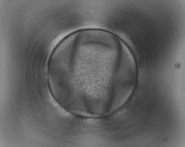 X0000112421380200909041402