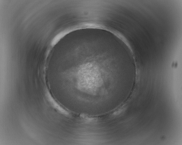 X0000112421381200909041402