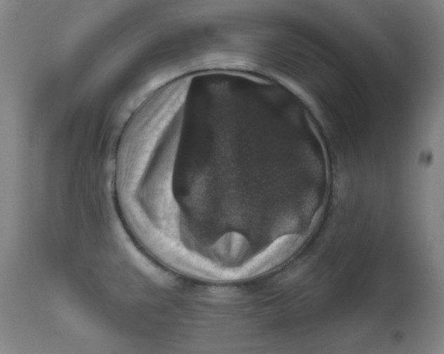 X0000112421383200909041402