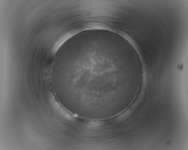 X0000112421385200909041402