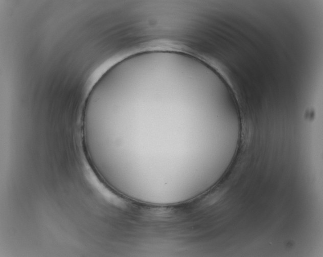 X0000112421387200909041402