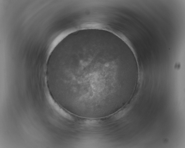 X0000112421389200909041402