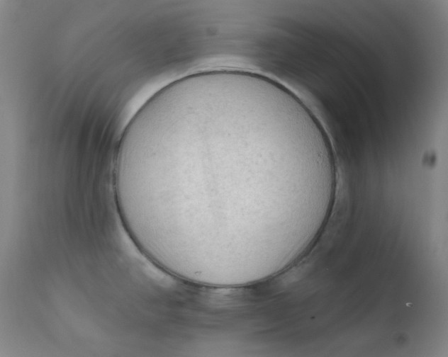 X0000112421390200909041402