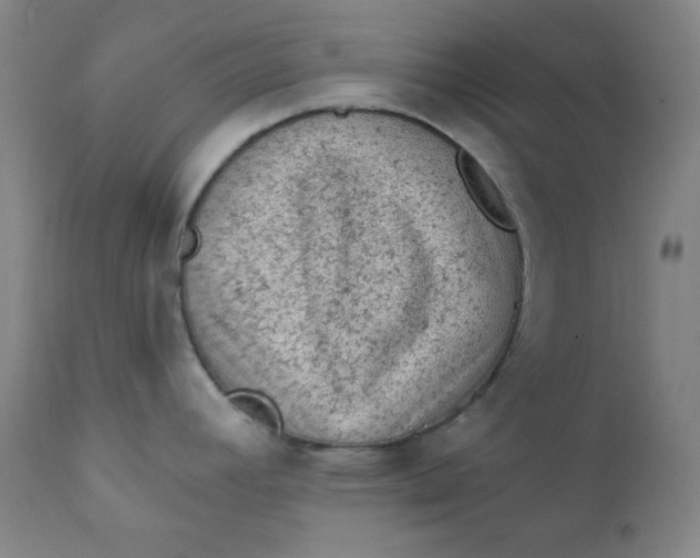 X0000112421392200909041402