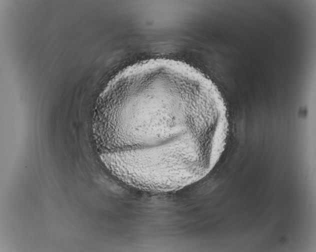 X0000112421393200909041401