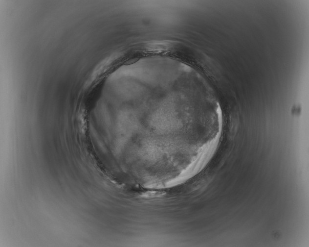 X0000112421394200909041401