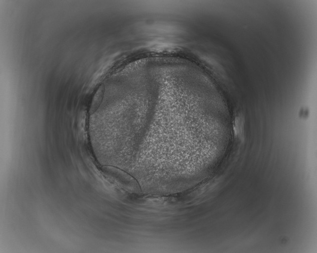 X0000112421396200909041401