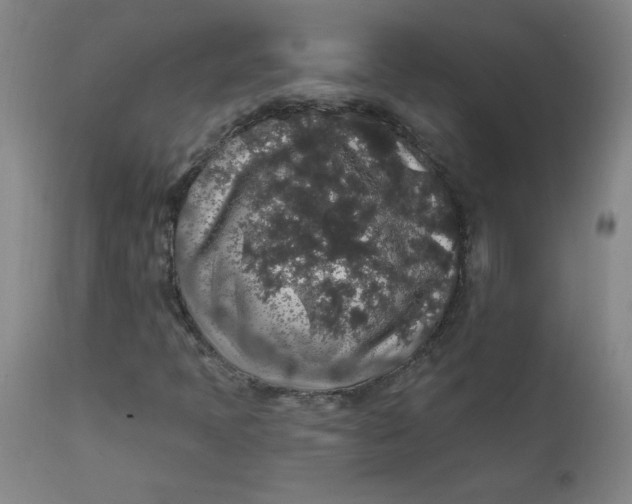 X0000112421397200909041401