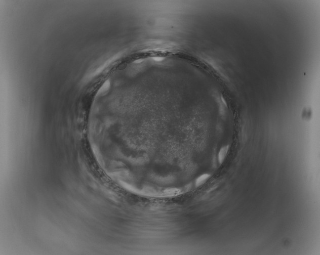 X0000112421399200909041401