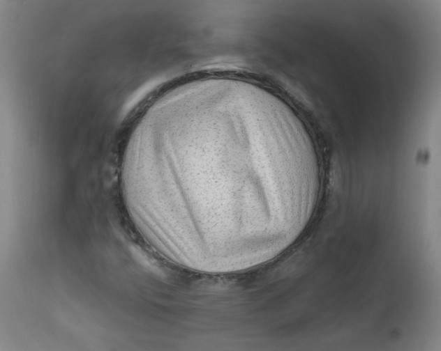 X0000112421400200909041401