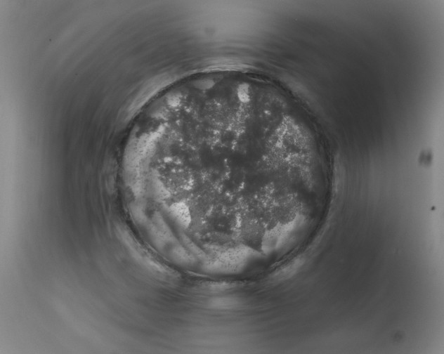 X0000112421401200909041401