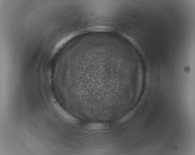 X0000112421402200909041401